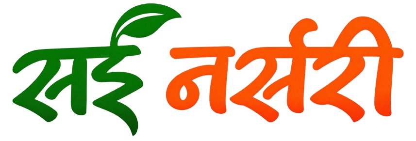 Sai Nursery